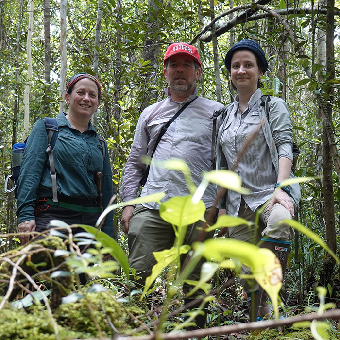 Anthropology students in the field, in a forest